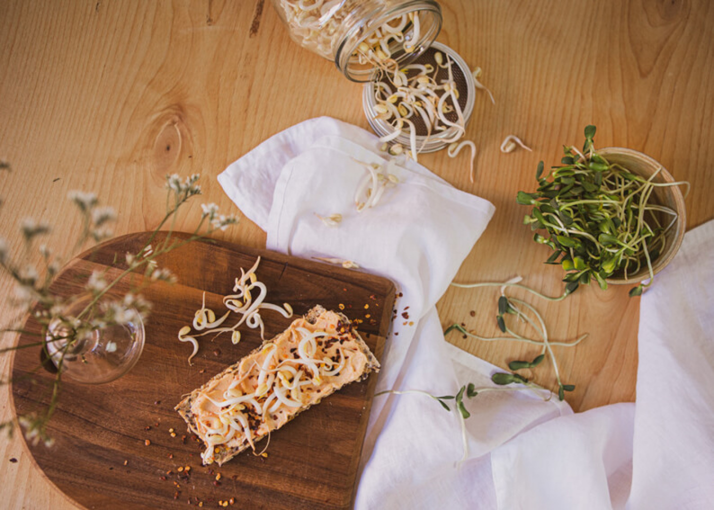 En simpel guide til at spire dine egne spirefrø derhjemme