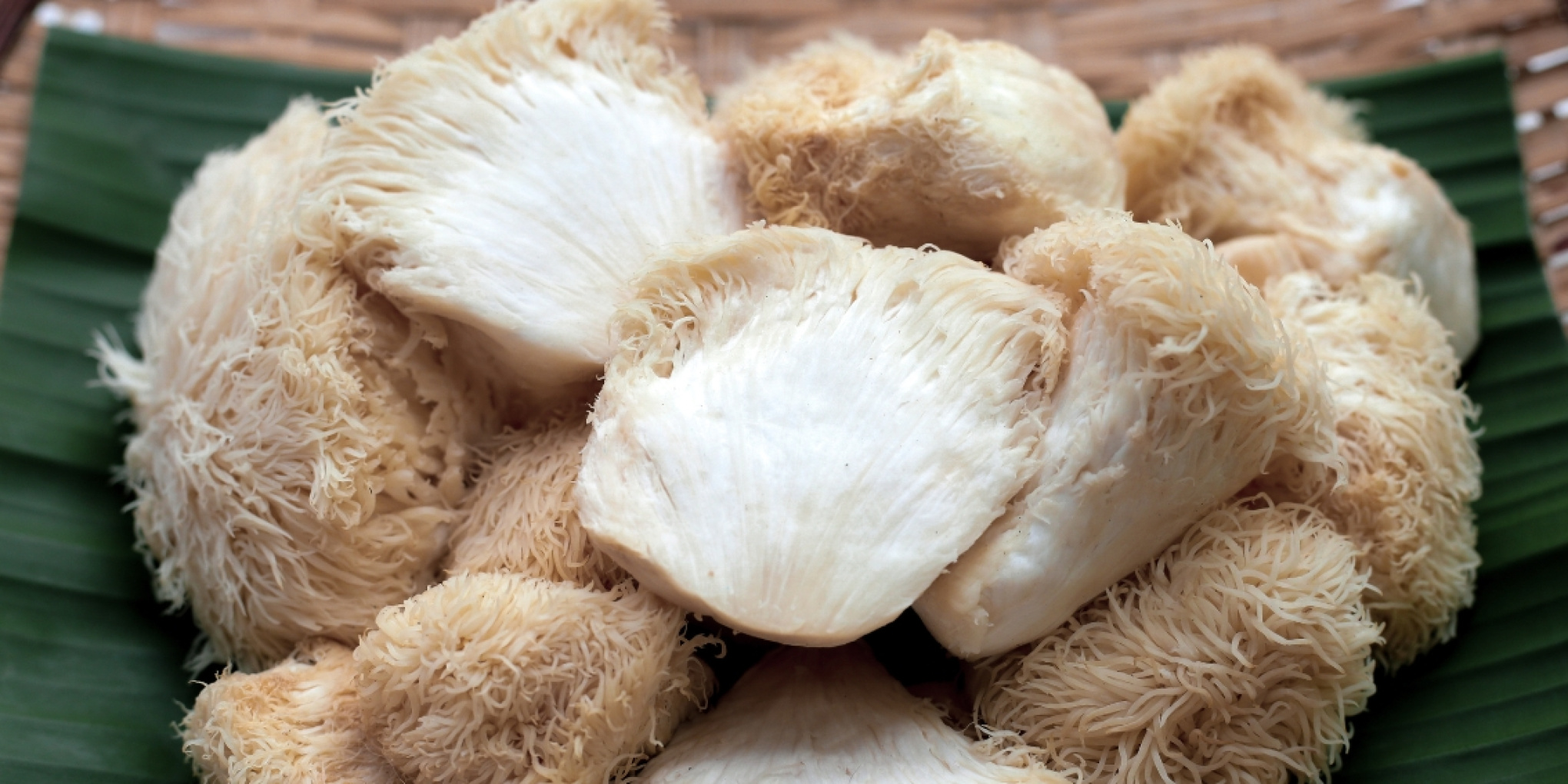 Lion's Mane - den delikate svamp, der balancerer den bryggede kaffe