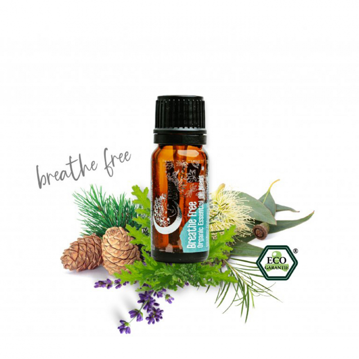 Æterisk Olie Breathe Free ØKO 10ml i gruppen Kropspleje / DIY Råvarer / Æteriske olier hos Rawfoodshop Scandinavia AB (17443637)