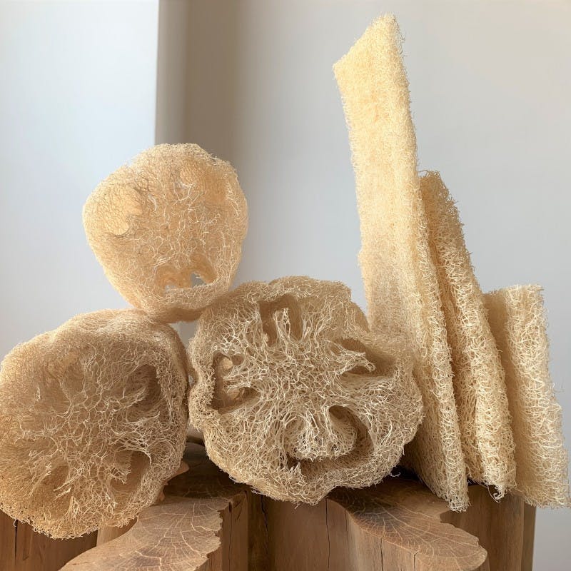 Loofah Svamp 25cm i gruppen Kropspleje / Færdigvarer / Sæbe hos Rawfoodshop Scandinavia AB (LOO-L)