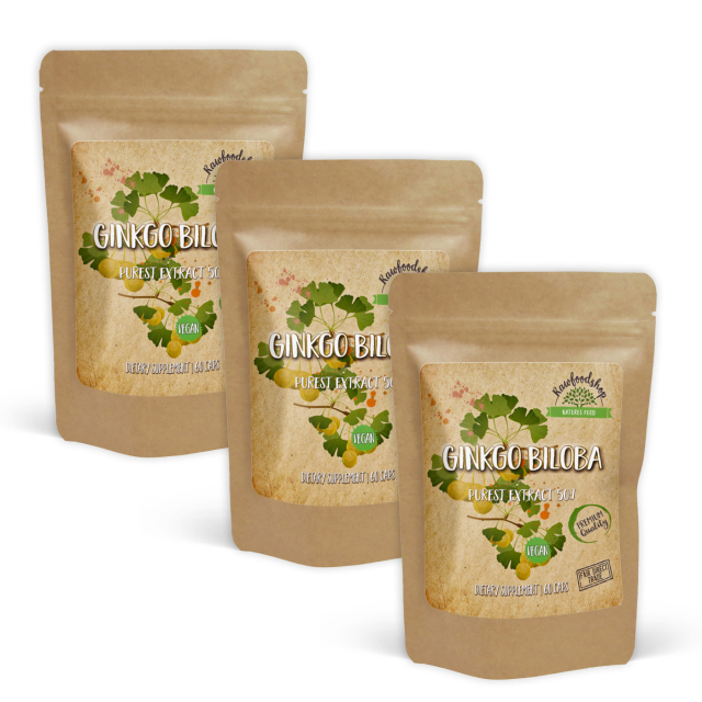 Ginkgo Biloba Extract 120mg 60 kapsler x 3 pakker