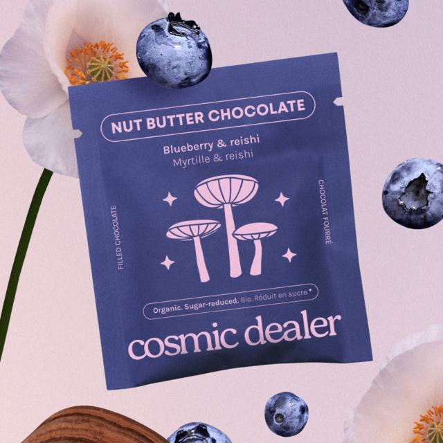 Chokolade Blåbær & Reishi ØKO 20g