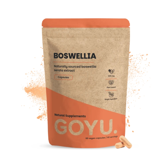 Boswellia Extract 500mg 60 kapsler