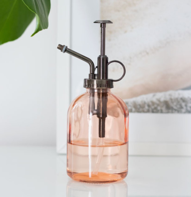 Pink Minimalistisk Glas Plant Mister