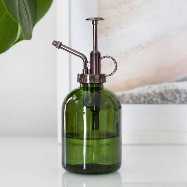 Grøn Minimalistisk Glas Plante Mister