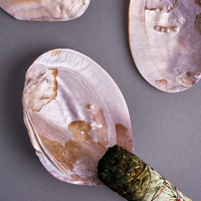 Snegleskal Mother of Pearl Rosa Stor
