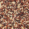 Quinoa Tre farver ØKO 500g