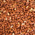 Jordnødder Premium RAW ØKO 1kg