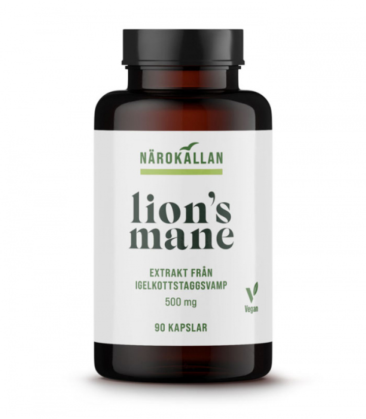 Lions Mane 500mg 90 kapsler i gruppen Kosttilskud / Urter & Planter hos Rawfoodshop Scandinavia AB (1969)