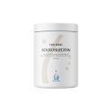 Holistic Solsikkelecithin 350g