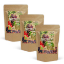 Berry Dream Mix ØKO 1kg x 3 pakker