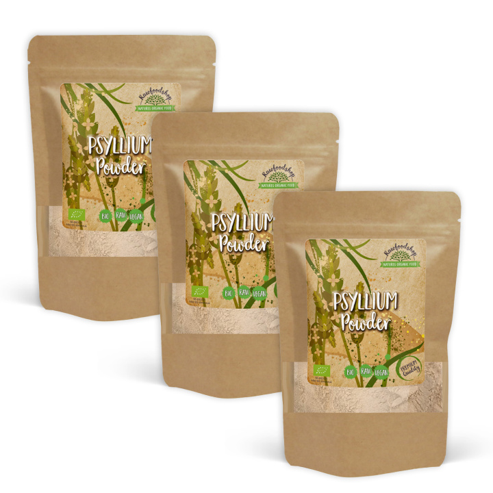 Psyllium Pulver ØKO 100g x 3 pakker i gruppen Råvarer & Drikke / Bagning / Flere bageingredienser hos Rawfoodshop Scandinavia AB (235921-SET3)