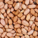Jordnødder Premium Afskallede RAW ØKO 500g