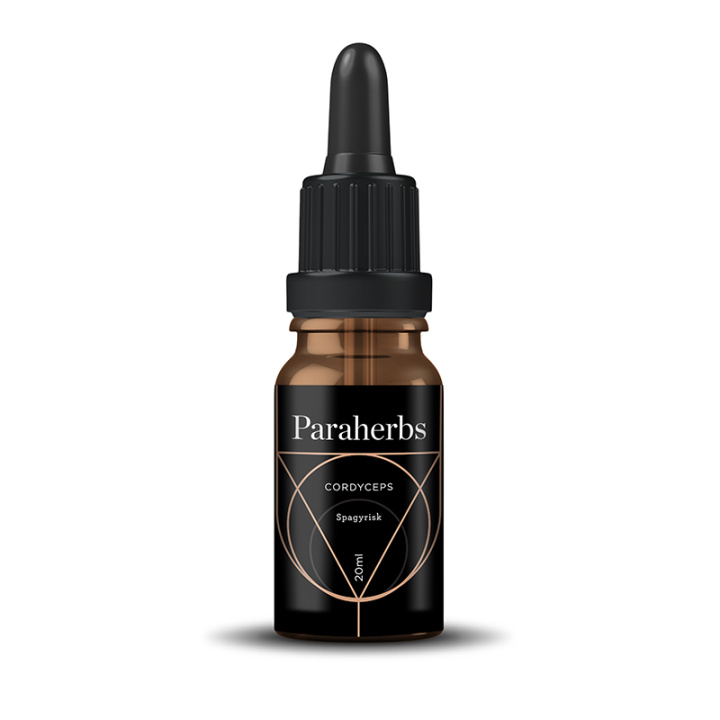 Cordyceps Spagyrisk Tinktur 20ml i gruppen Kosttilskud / Urter & Planter / Urter hos Rawfoodshop Scandinavia AB (4007)