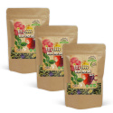 Feel Good Vild Urtete 100g x 3 pakker