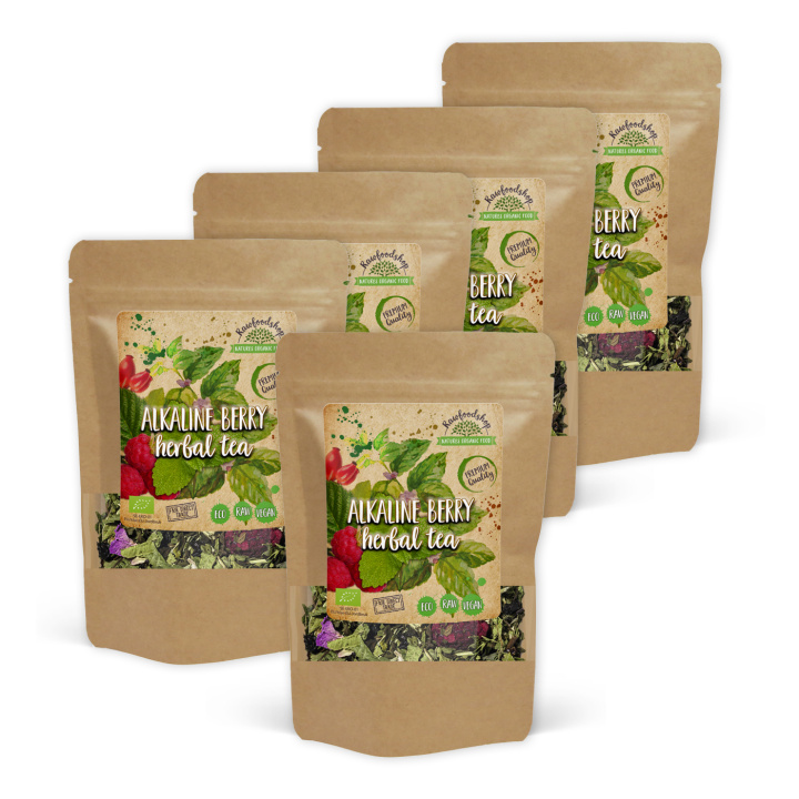 Bær & Urtete ØKO 100g x 5 pakker i gruppen Råvarer & Drikke / Drikkevarer / Te hos Rawfoodshop Scandinavia AB (437121-SET5)