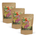 Mindfulness Intuition Te ØKO 50g x 3 pakker