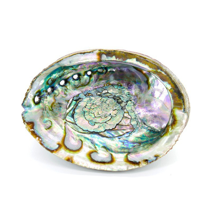 Abalone Shell Large i gruppen Hjem & Sjæl / Stemning & duft / Røgelserholdere & fade hos Rawfoodshop Scandinavia AB (5418)
