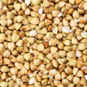 Boghvedemel ØKO 1kg