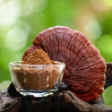 Kakaopulver Ceremoniel Reishi & Chaga 100g