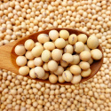 Sojabønner ØKO 500g