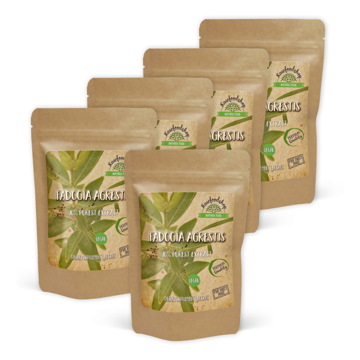 Fadogia Agrestis Extract 500mg 60 kapslerx 5 pakker i gruppen Kosttilskud / Anvendelsesområde hos Rawfoodshop Scandinavia AB (CAPFAD60-SET5)
