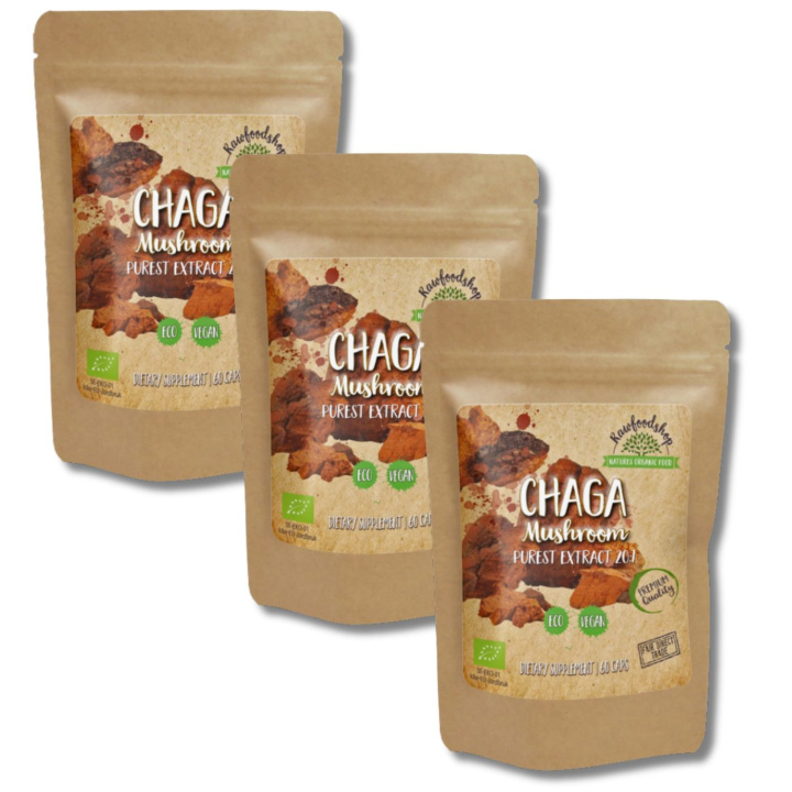 Chaga Extract ØKO 400mg 60 kapsler x 3 pakker i gruppen Kosttilskud / Urter & Planter / Svampe hos Rawfoodshop Scandinavia AB (CAPSCHA60-SET3)