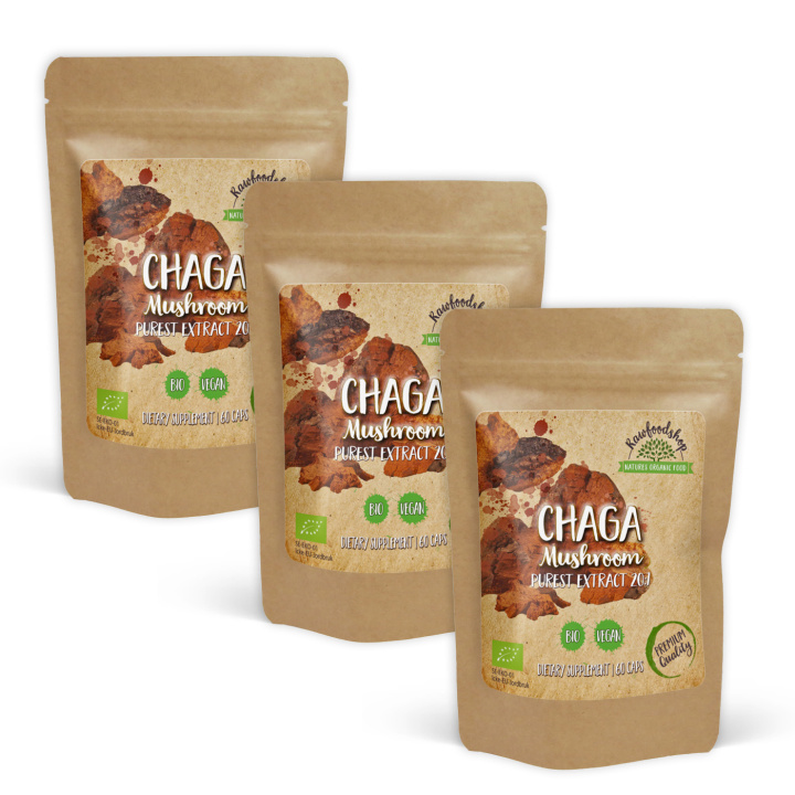 Chaga Extract ØKO 400mg 60 kapsler x 3 pakker i gruppen Kosttilskud / Urter & Planter / Svampe hos Rawfoodshop Scandinavia AB (CAPSCHA60-SET3)