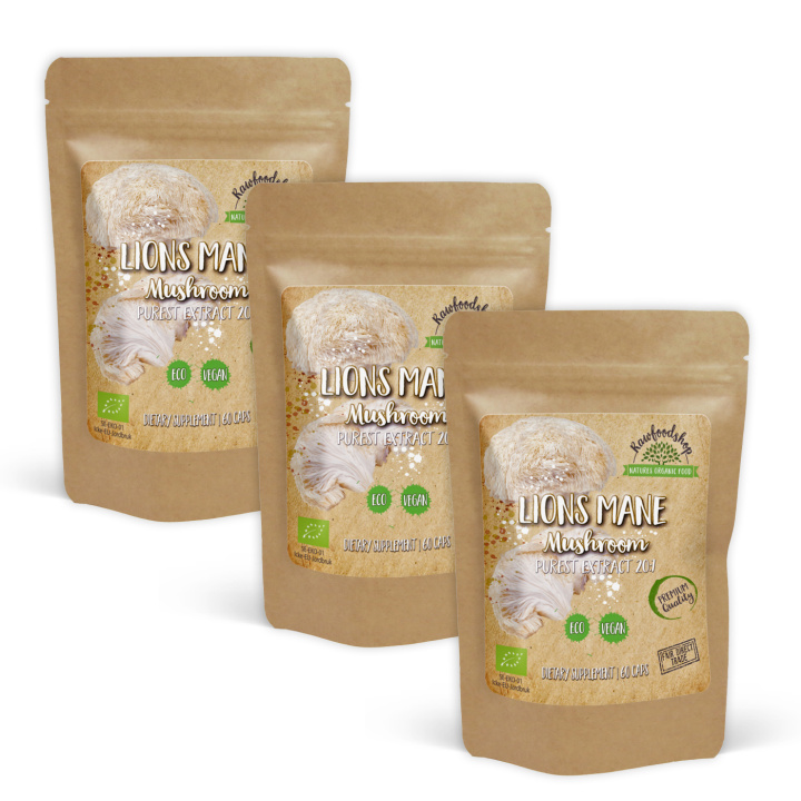 Lions Mane Extract ØKO 400mg 60 kapsler x 3 pakker i gruppen Kosttilskud / Urter & Planter / Svampe hos Rawfoodshop Scandinavia AB (CAPSLIO60-SET3)