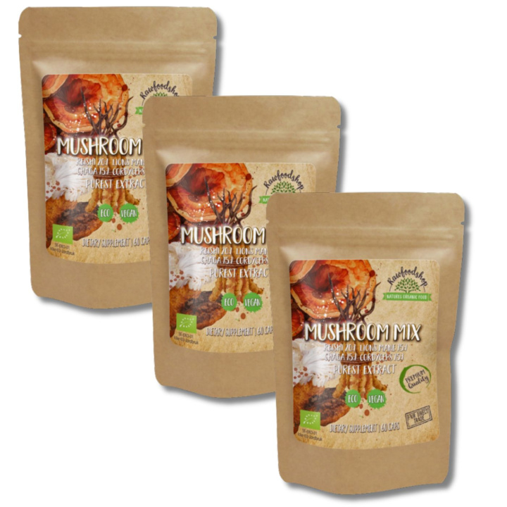 Mushroom mix Extract ØKO 400mg 60 kapsler x 3 pakker i gruppen Kosttilskud / Urter & Planter / Svampe hos Rawfoodshop Scandinavia AB (CAPSMUS60-SET3)