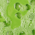 Genmaicha Pulver ØKO 100g