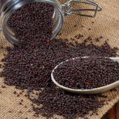 Sennepsfrø Sorte ØKO 50g Sennepsfrø Sorte ØKO 50g