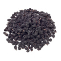 Morbær Sorte ØKO 500g