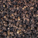 Morbær Sorte ØKO 500g