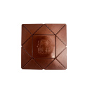 Pumpkin Spice Chokolade 49% ØKO 48g