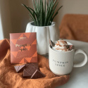 Pumpkin Spice Chokolade 49% ØKO 48g