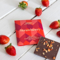 Jordbær Chokolade 49% ØKO 48g