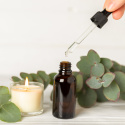 Eukalyptus Æterisk Olie 50ml