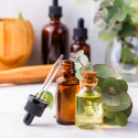 Eukalyptus Æterisk Olie 50ml