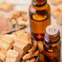Sandeltræ Amyris Æterisk Olie 50ml