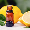 Citron Æterisk Olie 50ml