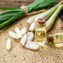 Citrongræs Æterisk Olie 50ml