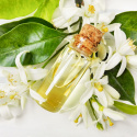 Neroli Light Æterisk Olie 50ml