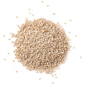 Chiafrø Hvide ØKO 500g