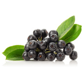 Aronia Pulver ØKO 250g Aronia Pulver ØKO 250g