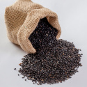 Sesamfrø Sorte ØKO 500g