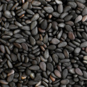 Sesamfrø Sorte ØKO 100g