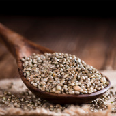 Hampefrø hele ØKO 500g Hampefrø hele ØKO 500g