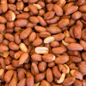 Jordnødder Premium RAW ØKO 500g