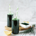 Spirulinapulver ØKO 250g